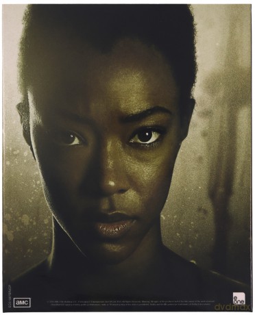 The Walking Dead: Seasons 1 to 5 [20xBlu-Ray]