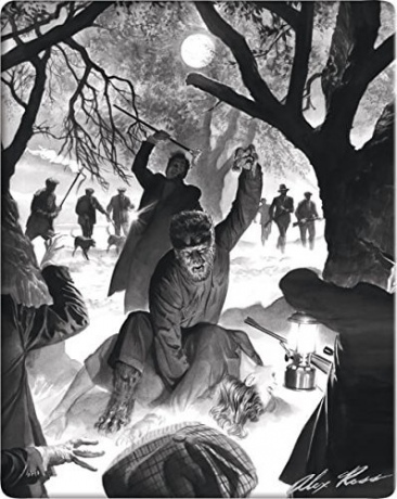 Wolf Man (steelbook) [Blu-Ray]
