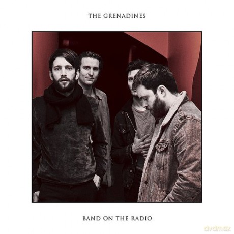 The Grenadines: Band On The Radio [Winyl]