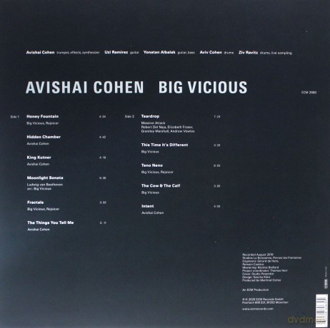 Avishai Cohen Big Vicious: Avishai Cohen Big Vicious [Winyl]