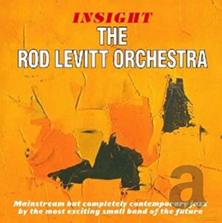 Rod Levitt: Insight + Solid Ground [CD]