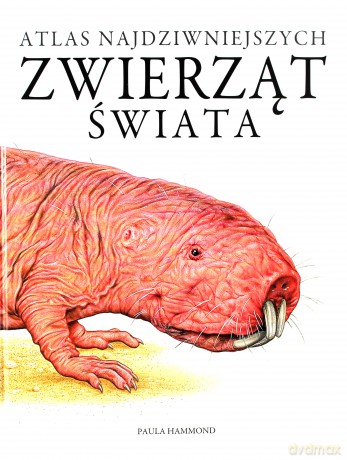 Atlas najdziwniejszych zwierząt świata - Paula Hammond [KSIĄŻKA]