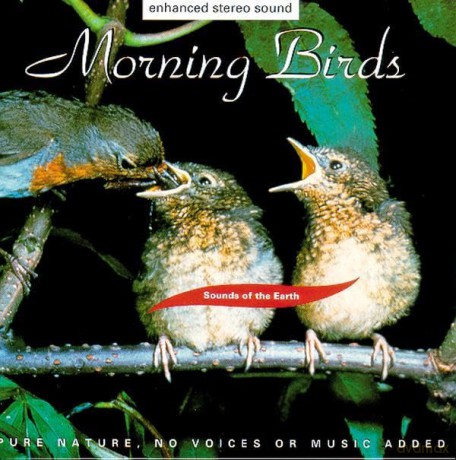 Sounds of the Earth: Morning Birds [CD]