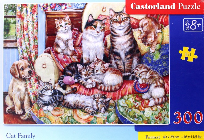 CASTORLAND 300 el. Kocia rodzina [PUZZLE]
