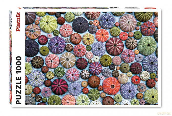 PIATNIK 1000 el. Jeżowce [PUZZLE]