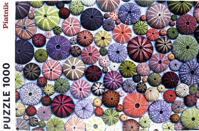 PIATNIK 1000 el. Jeżowce [PUZZLE]