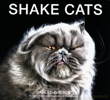 Shake Cats - Carli Davidson [KSIĄŻKA]