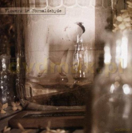 Sopor Aeternus: Like A Corpse Standing In Desperation 3 [CD]