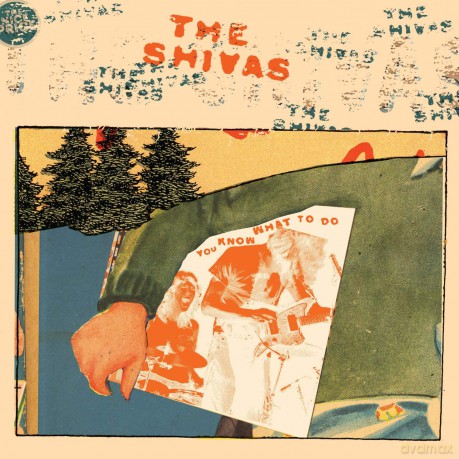 The Shivas: You Know What To Do [Winyl]