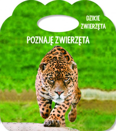 Poznaję zwierzęta Dzikie zwierzęta Książka z uszkiem - Różni [KSIĄŻKA]