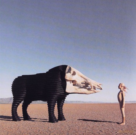Man Man: Dream Hunting In The Valley Of The In-Between [CD]