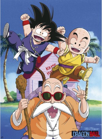 DRAGON BALL Poster DB/ Kame Team (528)