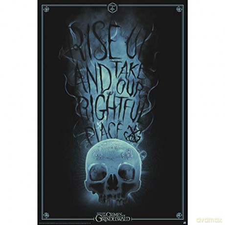 FANTASTIC BEASTS Poster Rise Up (91.51)