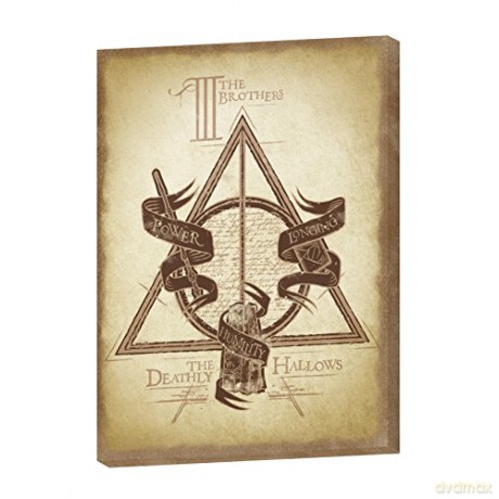 HARRY POTTER Canvas Deathly Hallows (300)