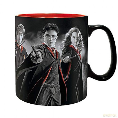 HARRY POTTER Kubek 320 ml Harry, Ron, Hermione with box