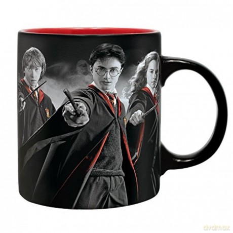 HARRY POTTER Kubek 320 ml Harry, Ron, Hermione with box