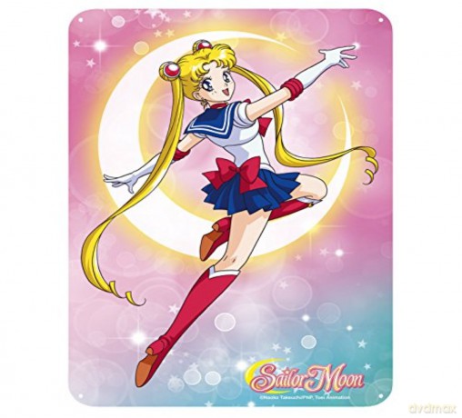 SAILOR MOON Metal plate Sailor Moon (288)