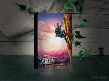 ZELDA Breath of the Wild Luminart