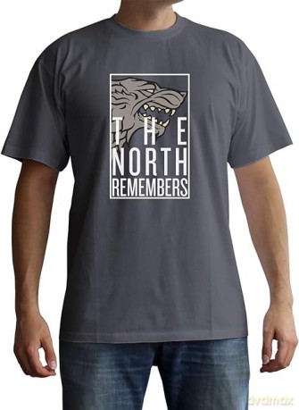 GAME OF THRONES T-shirt The North Remembers man SS grey basic (Gra o Tron) M
