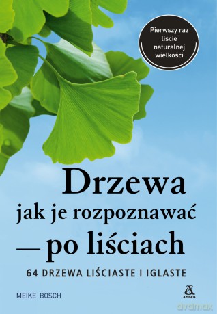 Drzewa, jak je rozpoznawać po liściach - Meike Bosch [KSIĄŻKA]
