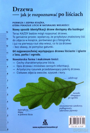 Drzewa, jak je rozpoznawać po liściach - Meike Bosch [KSIĄŻKA]