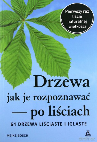 Drzewa, jak je rozpoznawać po liściach - Meike Bosch [KSIĄŻKA]
