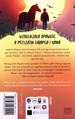 Wróć do mnie - Bogusław Stępnik [KSIĄŻKA]