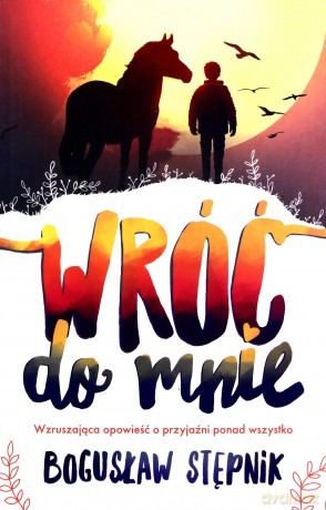Wróć do mnie - Bogusław Stępnik [KSIĄŻKA]