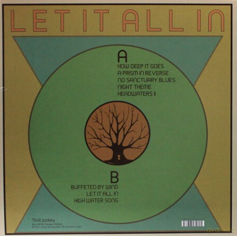 Arbouretum: Let It All In (Limited) (Color) [Winyl]