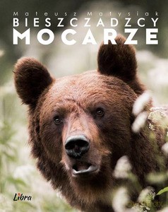 Bieszczadzcy Mocarze. Okładka z niedźwiedziem - Mateusz Matysiak [KSIĄŻKA]
