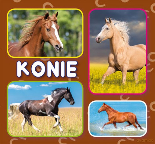 Konie [KSIĄŻKA]