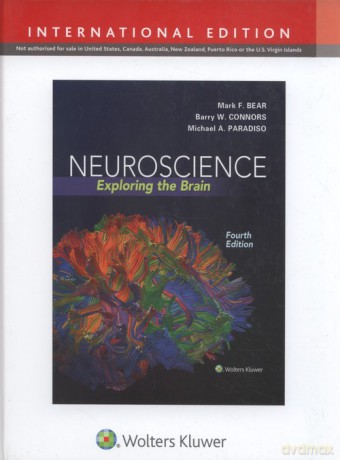 Neuroscience Exploring the Brain, Fourth edition - Mark Bear, Barry Connors [KSIĄŻKA]