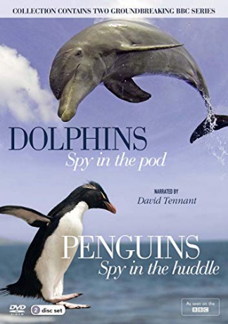 Dolphins Spy In The Podpenguins Spy In The Huddle [2DVD]