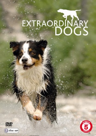 Extraordinary Dogs [2DVD]