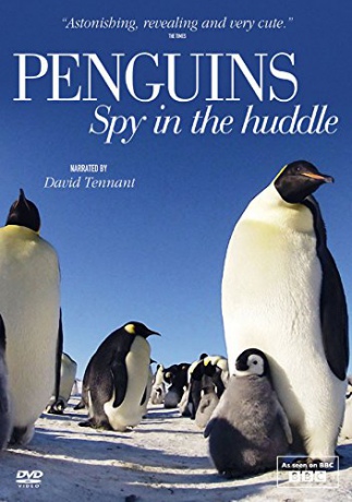 Penguins: Spy In The Huddle [DVD]