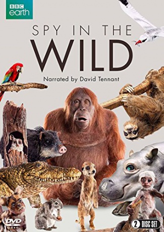 Spy In The Wild (Szpiedzy wśródd zwierząt) [2DVD]