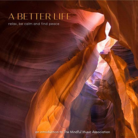 A Better Life: An Introduction To The Mindful Music Association [2CD]