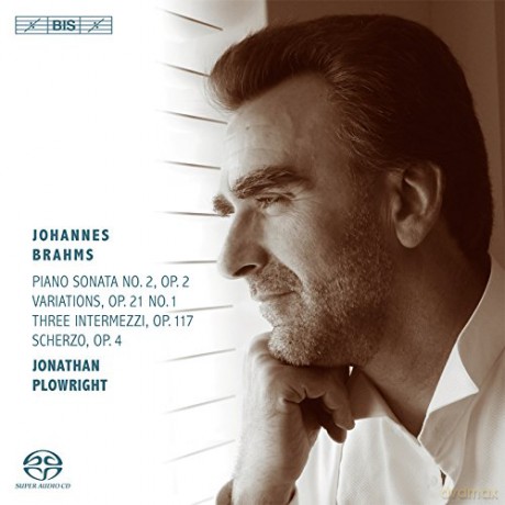 Jonathan Plowright: Brahmspiano Works 2 [CD]