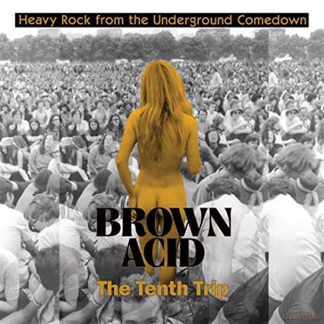 Brown Acid: The Tenth Trip [Winyl]