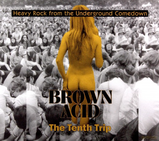 Brown Acid: The Tenth Trip [CD]