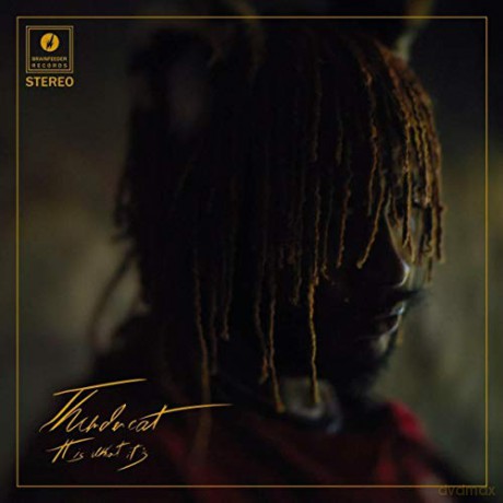Thundercat: It Is What It Is [CD]