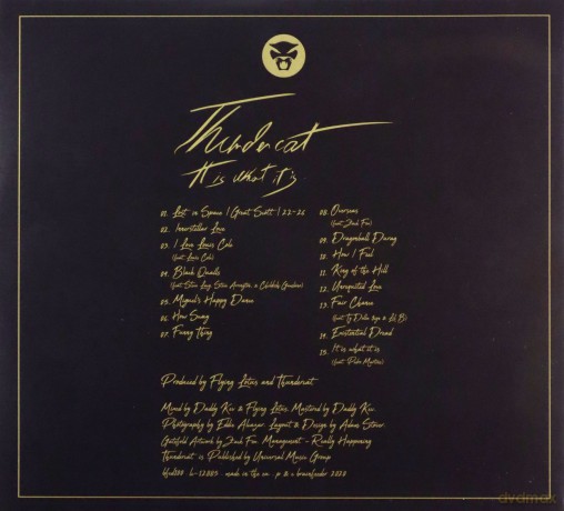 Thundercat: It Is What It Is [CD]