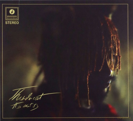 Thundercat: It Is What It Is [CD]