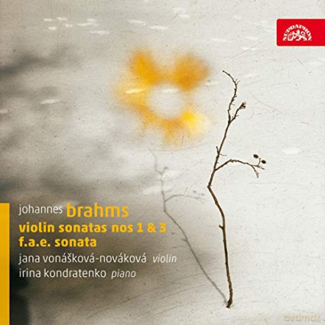 Jana Vonaskova-Novakova: Johannes Brahms/Violin Sonatas [CD]