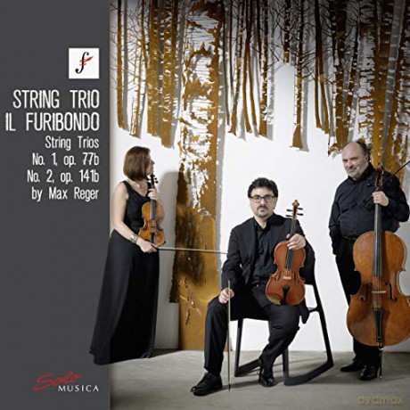 String Trio Il Furibondo: Max Reger: String Trios No. 1. Op. 77B And No. 2. Op. 141B [CD]