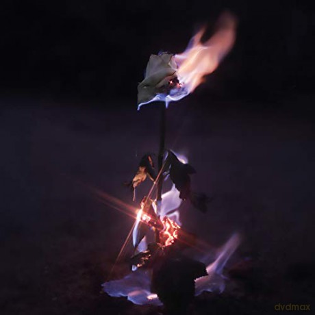 Farwarmth: Momentary Glow [CD]