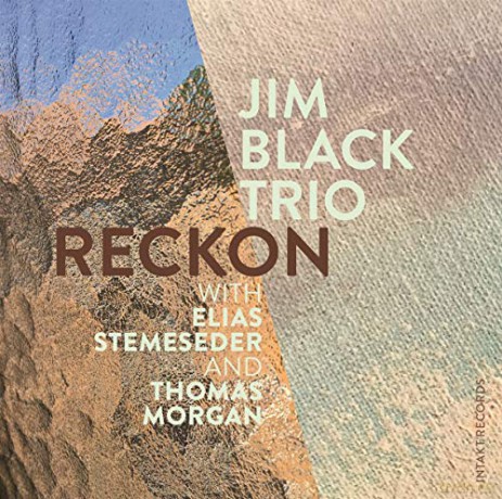 Jim Black Trio: Reckon [CD]