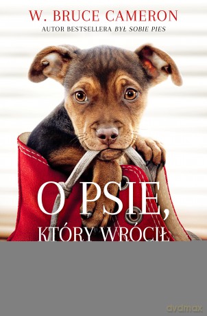 O psie, który wrócił do domu (pocket) - W. Bruce Cameron [KSIĄŻKA]