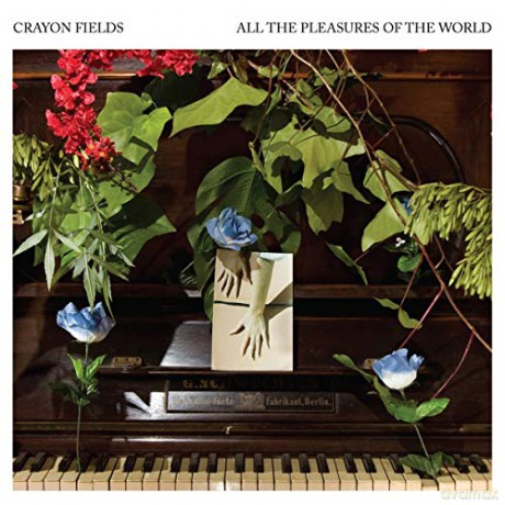 Crayon Fields: All The Pleasures Of The World (Deluxe) [Winyl]