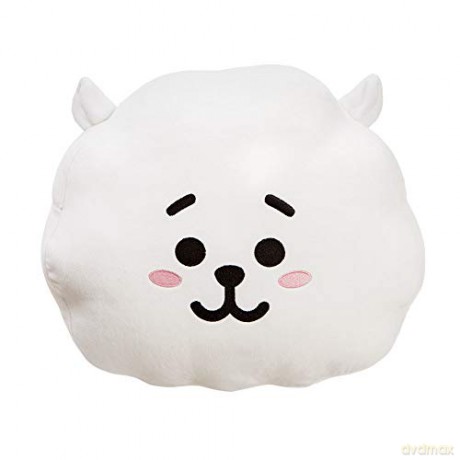Bt21: BT21 RJ Cushion 12.5In